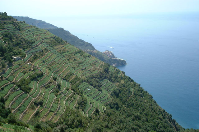 cinque-terre-DSCF0131